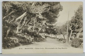 MENTON Sous-bois Promenade de Cap Martin Postcard K17