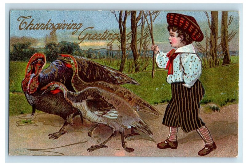 c1910's Thanksgiving Greetings Little Boy With Turkeys Embossed Antique Postcard 