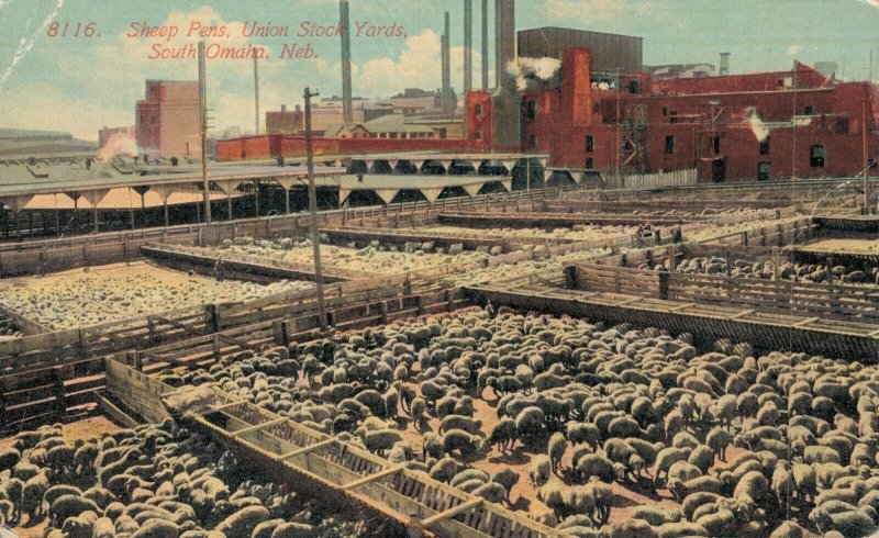 USA Sheep Pens Union Stock Yards South Omaha Nebraska Vintage Postcard 07.35