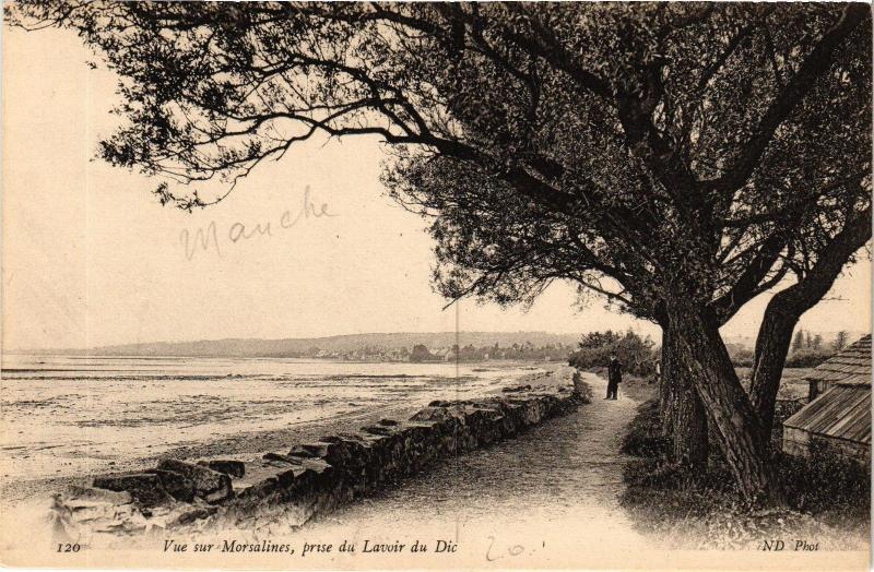 CPA Vue sur Mosalines prise du Lavoir du Dic (137633)