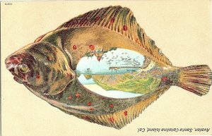 Rare 1910s Avalon Santa Catalina Island Die-Cut Fish Postcard  Novelty Souvenir