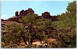 Postcard - Wooden Shoe, Canyonlands National Park - Utah