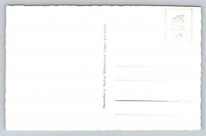 RPPC  Lauffen  Neckar  Germany   Postcard