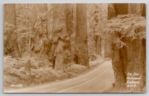 RPPC Beautiful Scene on The Redwood Highway California Real Photo Postcard A48