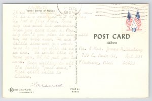 Florida~Beach Umbrellas & Grass On Beach~Vintage Postcard