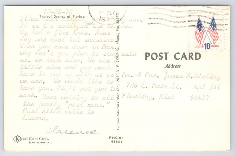 Florida~Beach Umbrellas & Grass On Beach~Vintage Postcard