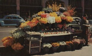 43-US-CA-SFO-  Flower Stand, San Francisco, CA, USA,not used