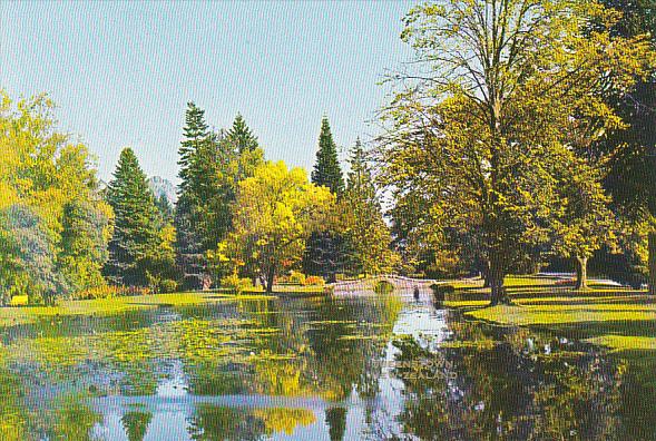 New Zealand Queenstown Lily Pond and Stone Bridge Gardens