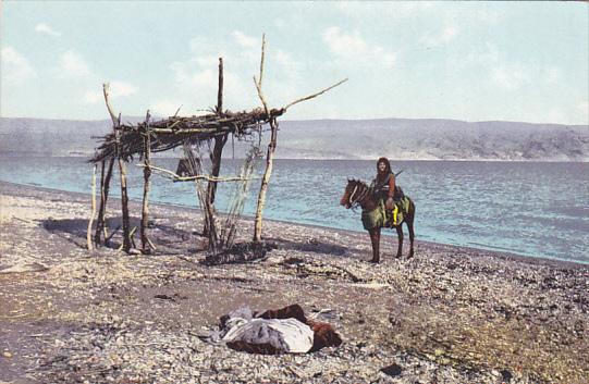 Israel Man On Horse The Dead Sea