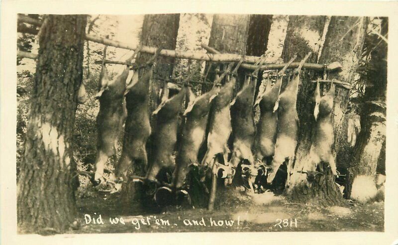 Hunting Trip Numerous Dead Deer 1940s #28H Postcard RPPC real photo 20-1409