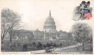 THE CAPITOL WASHINGTON DC LIVINGSTON POSTCARD (c. 1900)