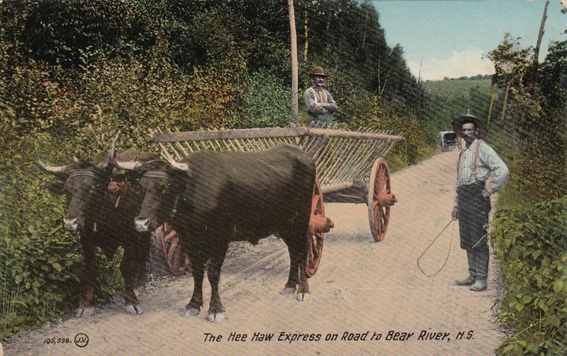 Canada Nova Scotia Ox Cart Hee Haw Express On Road To Bear River sk4732