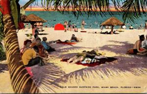 Florida Miami Beach Palm Shaded Surfside Park 1942