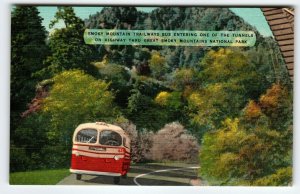 Smokey Mountain Trailways Bus Enters Tunnel North Carolina Linen Postcard