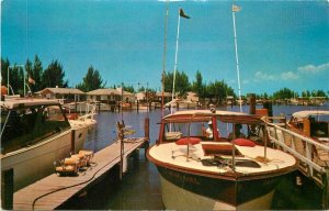 Madeira Beach Florida Snug Harbor Yacht Basin Palm Color Postcard 21-4866