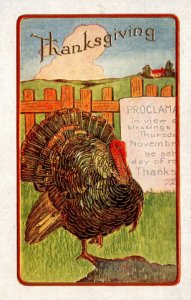 Thanksgiving Greetings With Turkeys 1909