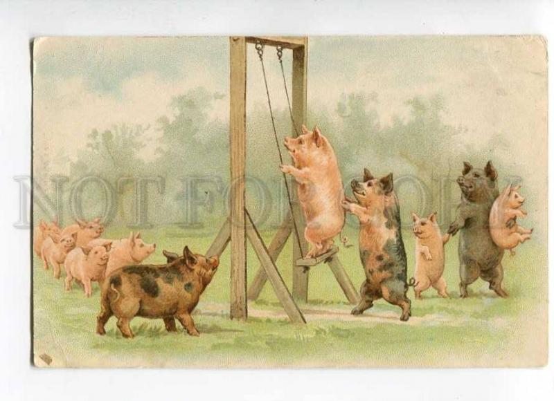 264726 RUSSIA Charming PIG on Swing PARK Vintage LITHO PC