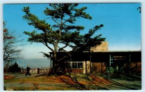 SHENANDOAH NATIONAL PARK, Virginia VA ~ SKYLAND DINING ROOM c1960s-70s Postcard