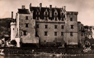 Le Chateau de Montsoreau,France BIN