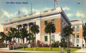 Florida Tampa Post Office 1951