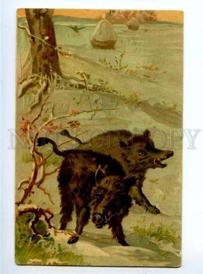 156530 Winter Hunt WILD BOAR Great Vintage Colorful PC