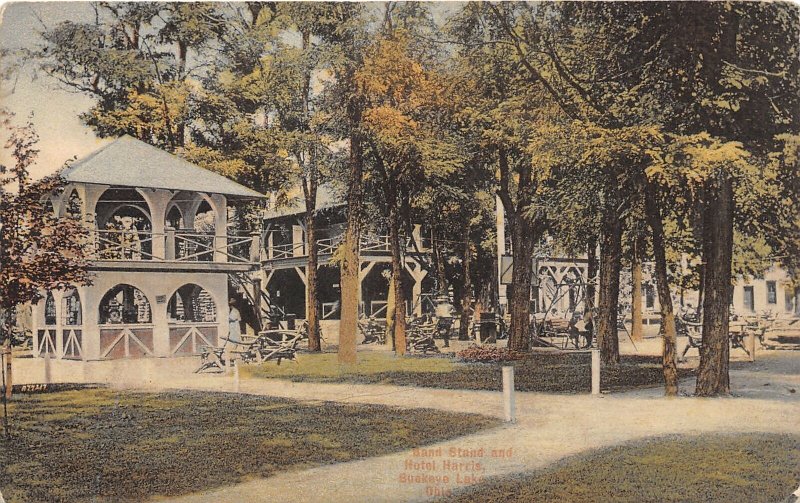 J68/ Buckeye Lake Newark Ohio Postcard c1910 Band Stand Hotel Harris 271