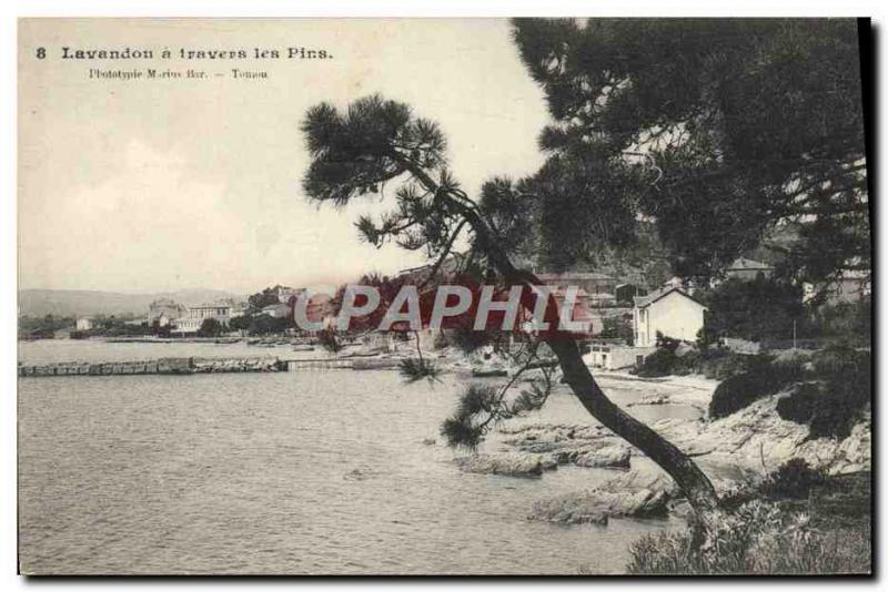 Old Postcard Le Lavandou Les Pins