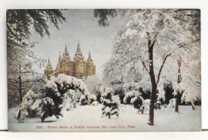 Winter Scene in Temple Grounds, Salt Lake City, Utah - Postcard