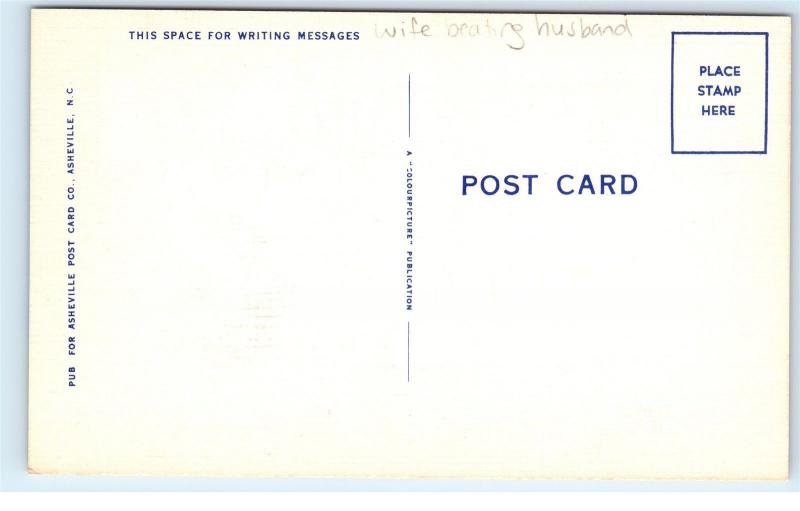 Postcard Never Underestimate the Power of a Woman Wife Beating Husband Abuse A45