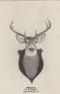 RP; MIDDLETOWN SPA, Vermont, 1900-10s; Mounted Deer #3