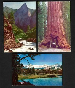 AU70 Yosemite Color card, 3 Pcs. Wawona Big Tree Auto Drive Through Unused