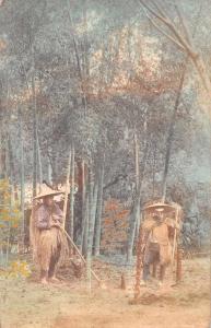 Japan Farmers? Bamboo Forest Antique Postcard J80614