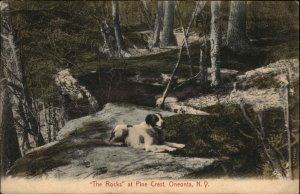 Oneonta New York NY The Rocks at Pine Crest c1910 Postcard