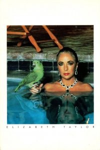 Elizabeth Taylor Helmut Newton Portarits