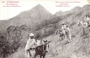 PC ETHIOPIA, AU SOMMET DU GARA MOULLATA, Vintage Postcard (B41169) 