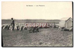 Vintage Postcard Folklore Peasants In Beauce the sheep Sheph