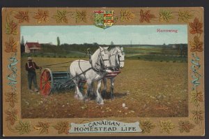 Patriotic CANADIAN HOMESTEAD LIFE Harrowing with a team of horses Valentine ~ DB