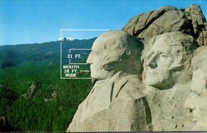 South Dakota Black Hills Mount Rushmore