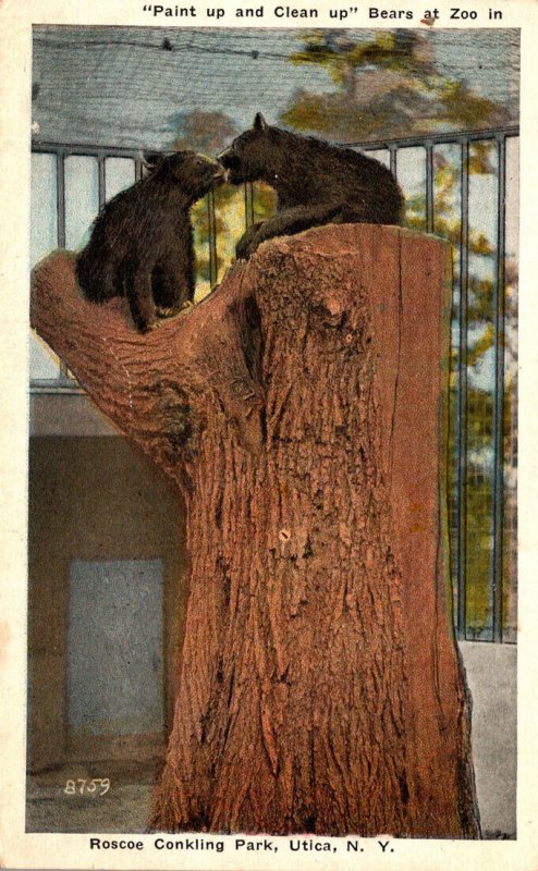 New York Utica Roscoe Conkling Park Zoo Bears 1920