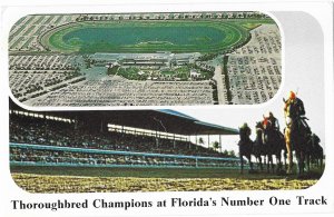 Gulfstream Horse Racing Hallandale Florida Derby Thoroughbred Champions