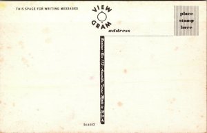 Vtg Virginia VA Large Letter Greetings from 1950s Unused Chrome Postcard