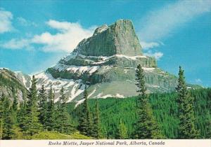 Canada Roche Miette Jasper National Park