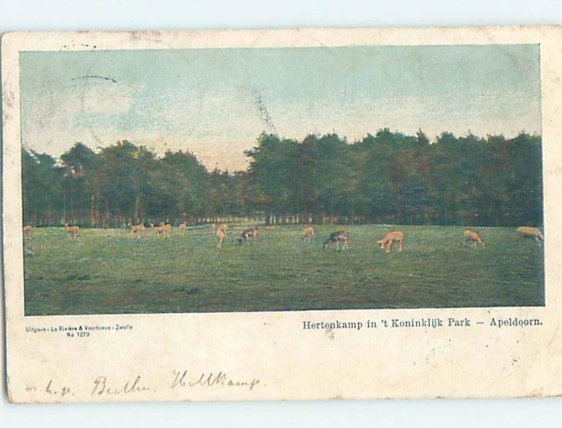 Pre-1907 KONINKLIJK PARK Apeldoorn - Gelderland Netherlands F5167