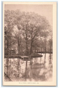 c1910 Mill Pond River Lake North East Pennsylvania PA Vintage Antique Postcard