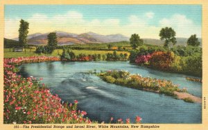 Vintage Postcard 1930's The Presidential Range & Israel River White Mountains NH