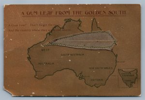 AUSTRALIA GUM LEAF FROM GOLDEN SOUTH ANTIQUE POSTCARD