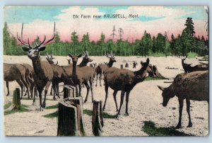 1909 Kalispell Montana MT Vintage Postcard Elk Farm Deer Exterior View  Posted