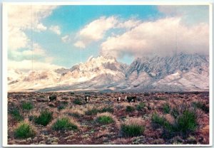 Postcard - Organ Mountains - Southern New Mexico