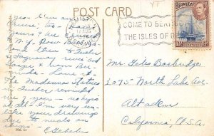 Giant Rubber Tree Bermuda Postcard