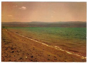 Jordan 1964 Unused Postcard Dead Sea